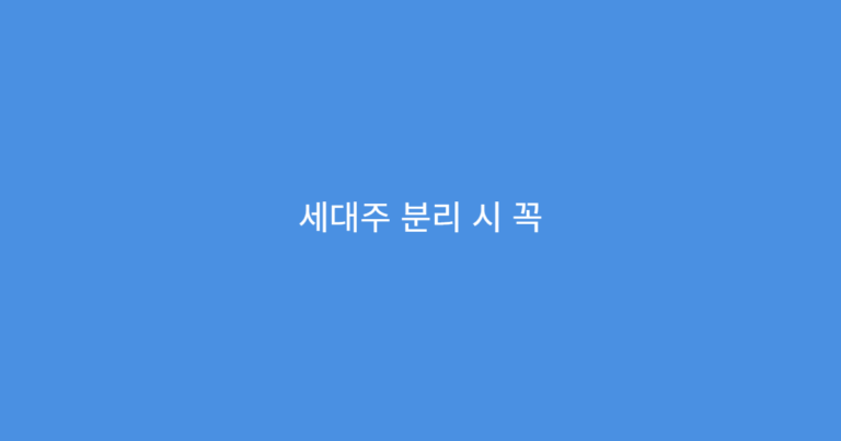 세대주 분리 시 꼭 확인해야 할 9가지 사항