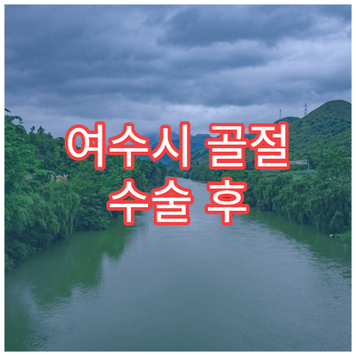 여수시 골절 수술 후 물리치료 받을 수 있는 병원 안내