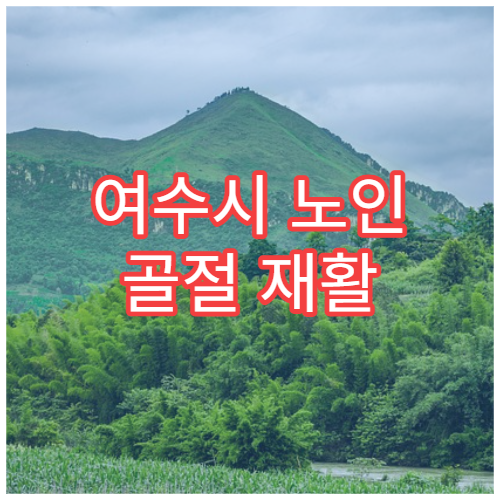여수시 노인 골절 재활 치료 및 골밀도 검사 병원