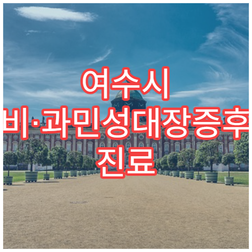 여수시 변비·과민성대장증후군 진료 가능한 병원