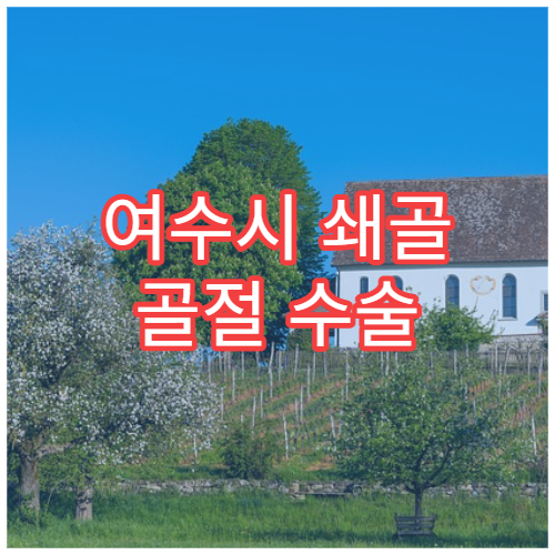 여수시 쇄골 골절 수술 및 회복 관리 병원 추천