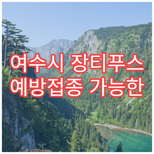 여수시 장티푸스 예방접종 가능한 병원 정보