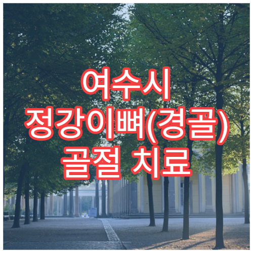 여수시 정강이뼈(경골) 골절 치료 병원 추천