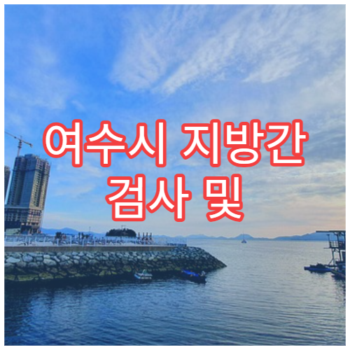 여수시 지방간 검사 및 간 건강 관리 병원