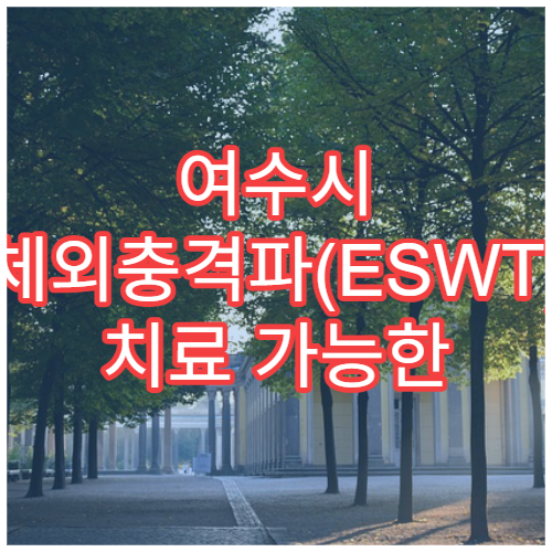 여수시 체외충격파(ESWT) 치료 가능한 정형외과 병원