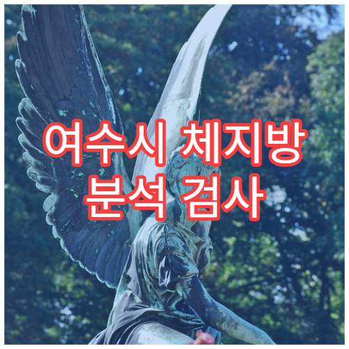 여수시 체지방 분석 검사 가능한 병원 정보