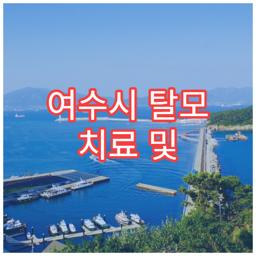 여수시 탈모 치료 및 두피케어 전문 병원