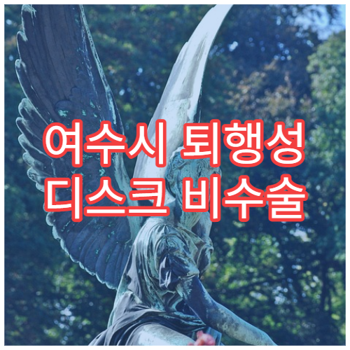 여수시 퇴행성 디스크 비수술 치료 가능한 병원