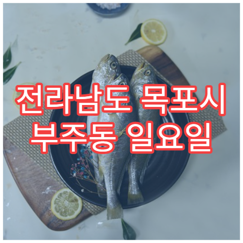 전라남도 목포시 부주동 일요일 피부과 진료 병원 안내｜두드러기·알레르기·피부염 치료