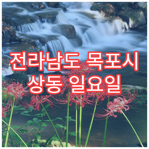 전라남도 목포시 상동 일요일 안과 진료 병원｜눈 이물감·충혈·시야 흐림 검사