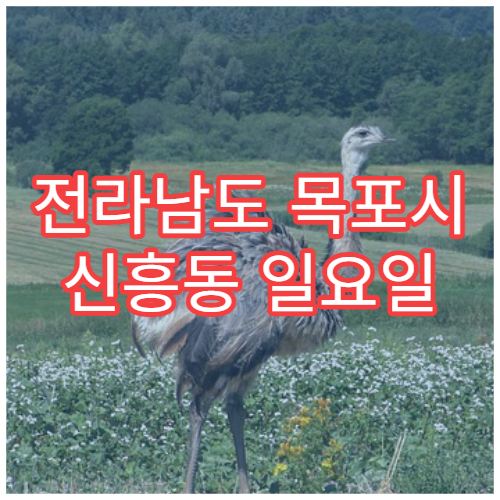 전라남도 목포시 신흥동 일요일 이비인후과 병원 정보｜목 아픔·비염·귀 통증 진료