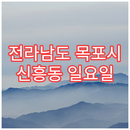 전라남도 목포시 신흥동 일요일 피부과 진료 병원 안내｜가려움·두드러기·피부염 치료