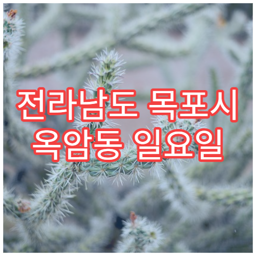 전라남도 목포시 옥암동 일요일 당번약국 정보 주말 문 여는 약국 위치와 운영시간 안내
