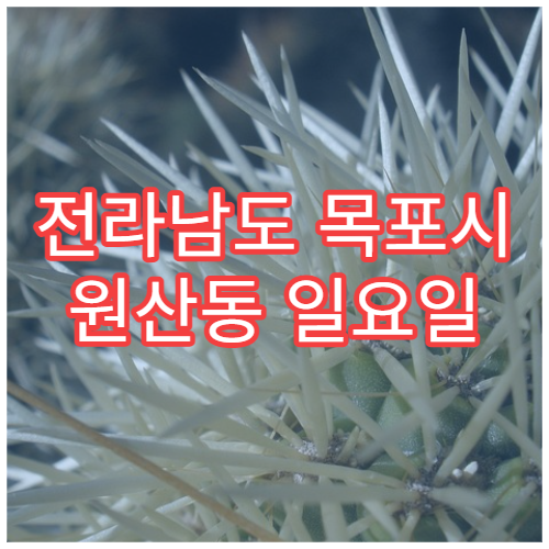 전라남도 목포시 원산동 일요일 안과 진료 병원｜결막염·눈 통증·시야 흐림 검사
