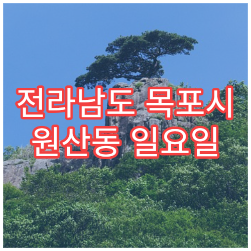 전라남도 목포시 원산동 일요일 치과 병원 정보｜치통·충치·치아 손상 주말 진료