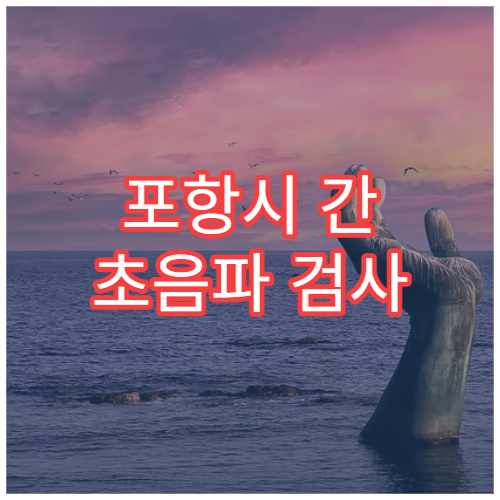 포항시 간 초음파 검사 지방간·간질환 조기 진단 내과 병원