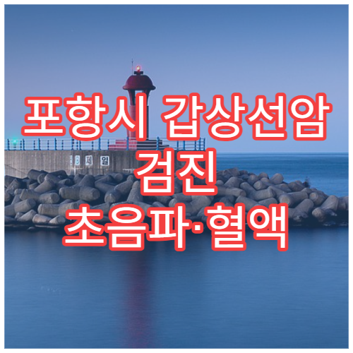 포항시 갑상선암 검진 초음파·혈액 정밀 검사 내분비 병원