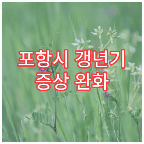 포항시 갱년기 증상 완화 여성 한방 호르몬 균형 전문 한의원