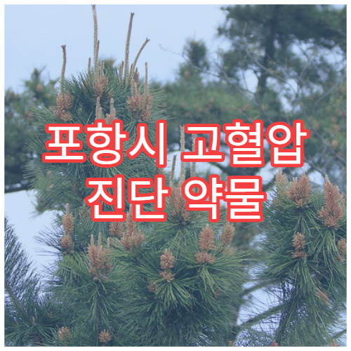 포항시 고혈압 진단 약물 치료와 생활습관 교정 내과 병원