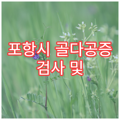 포항시 골다공증 검사 및 골밀도 치료 내분비·정형외과 병원