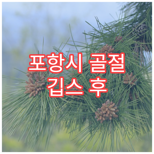 포항시 골절 깁스 후 통증 관리 재활 치료 전문 병원