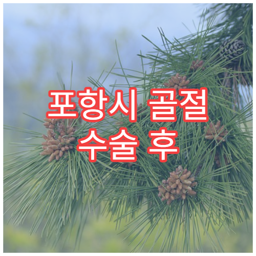 포항시 골절 수술 후 물리치료 재활 프로그램 전문 병원