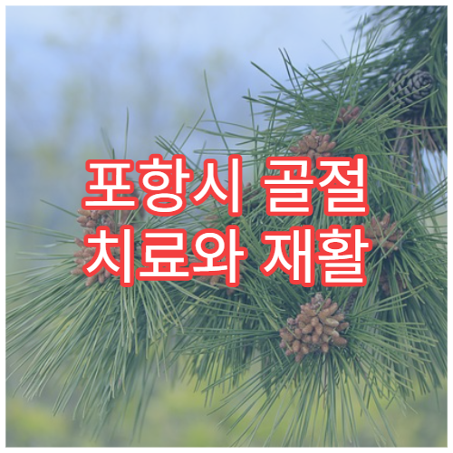 포항시 골절 치료와 재활 물리치료 잘하는 정형외과 병원