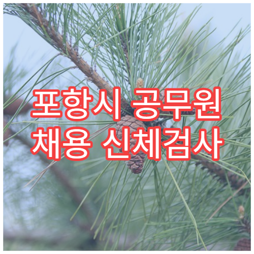 포항시 공무원 채용 신체검사 지정 검진 병원 안내 센터