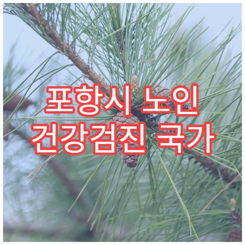 포항시 노인 건강검진 국가 지원 혜택 안내 내과 전문 병원