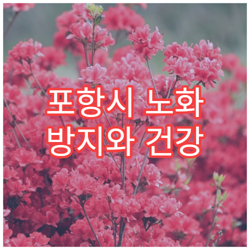 포항시 노화 방지와 건강 유지를 위한 종합 건강검진 전문 병원