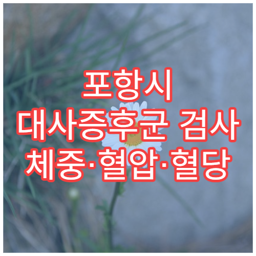 포항시 대사증후군 검사 체중·혈압·혈당 통합 관리 병원