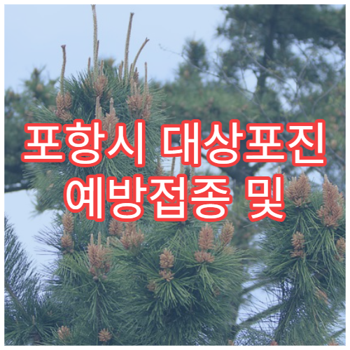 포항시 대상포진 예방접종 및 신경통 치료 통합 관리 병원