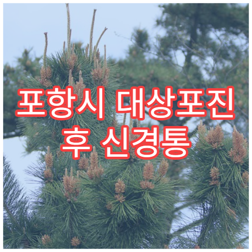 포항시 대상포진 후 신경통 만성 통증 관리 신경과 병원