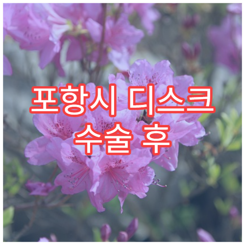 포항시 디스크 수술 후 재활 통증 관리 전문 병원