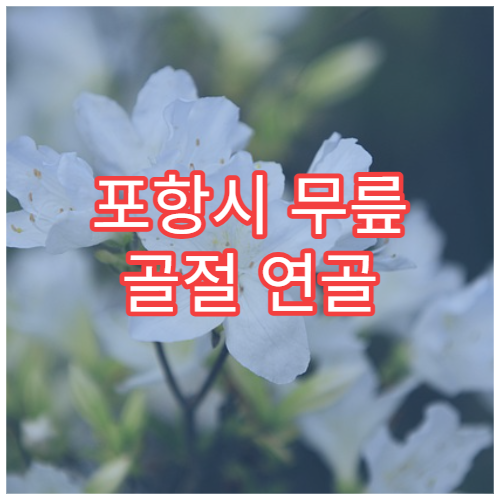 포항시 무릎 골절 연골 손상 수술 재활 정형외과 병원