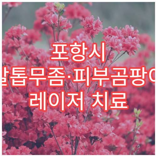 포항시 발톱무좀·피부곰팡이 레이저 치료 피부과 전문 병원