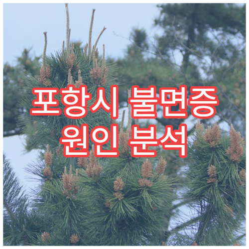 포항시 불면증 원인 분석 생활습관 교정 수면 클리닉 병원