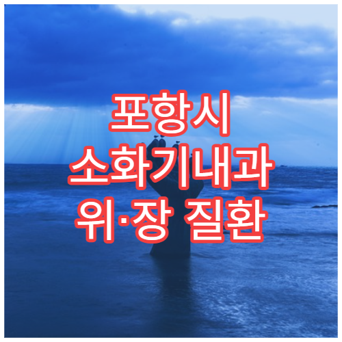 포항시 소화기내과 위·장 질환 통합 관리 잘하는 내과 전문 병원