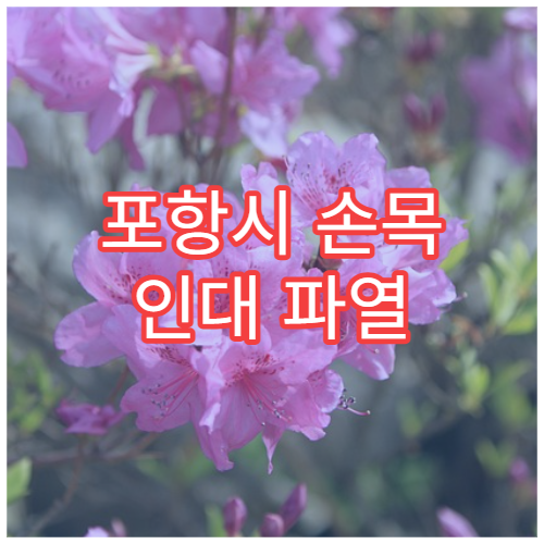 포항시 손목 인대 파열 치료 수술·보존 정형외과 병원