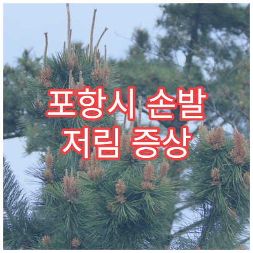 포항시 손발 저림 증상 신경과 정밀 검사 치료 전문 병원