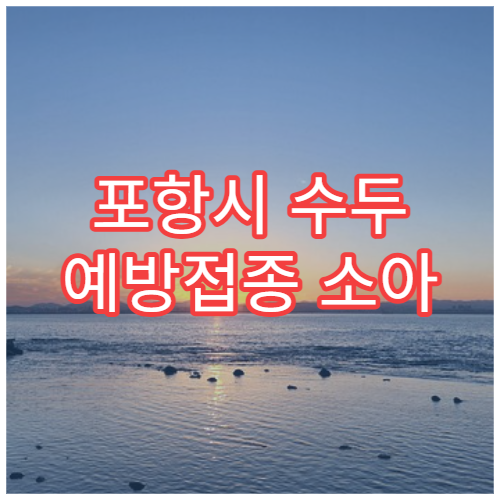 포항시 수두 예방접종 소아 청소년 전염병 예방 소아과 병원