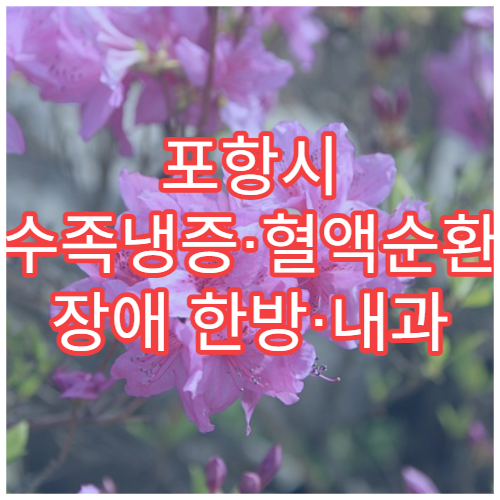 포항시 수족냉증·혈액순환 장애 한방·내과 통합 치료 병원