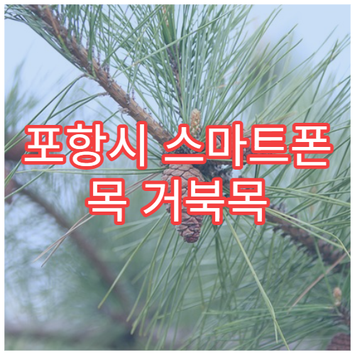 포항시 스마트폰 목 거북목 교정 재활 치료 전문 병원