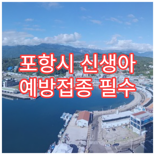 포항시 신생아 예방접종 필수 일정 관리 소아청소년과 병원