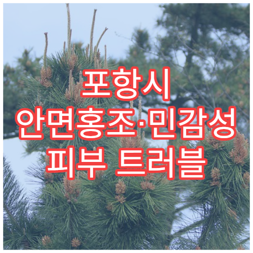 포항시 안면홍조·민감성 피부 트러블 케어 피부과 병원