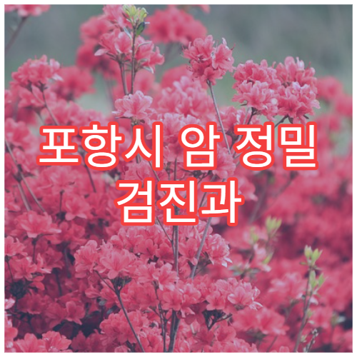 포항시 암 정밀 검진과 조기 발견 위한 대학 종합 전문 병원