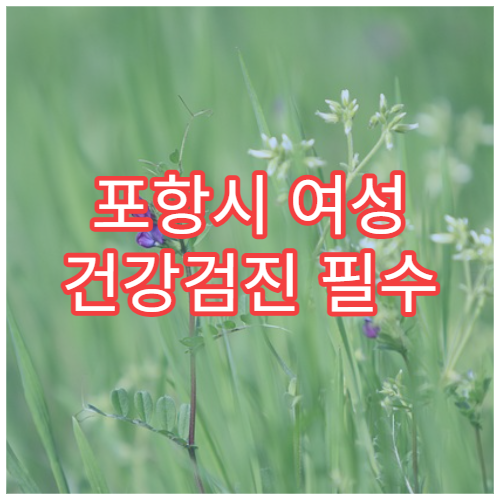 포항시 여성 건강검진 필수 산부인과·내과 통합 검진 병원
