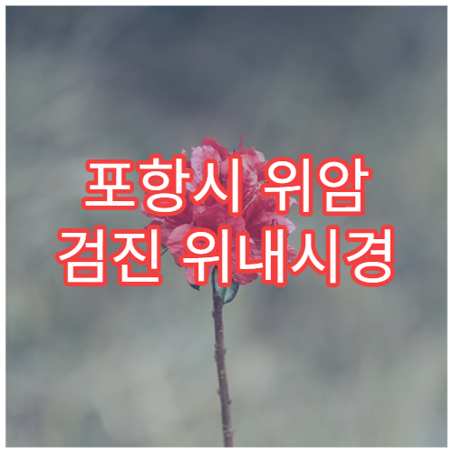 포항시 위암 검진 위내시경 조기 암 발견 전문 내과 병원