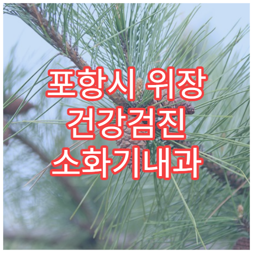 포항시 위장 건강검진 소화기내과 위내시경 정밀 검사 전문 병원