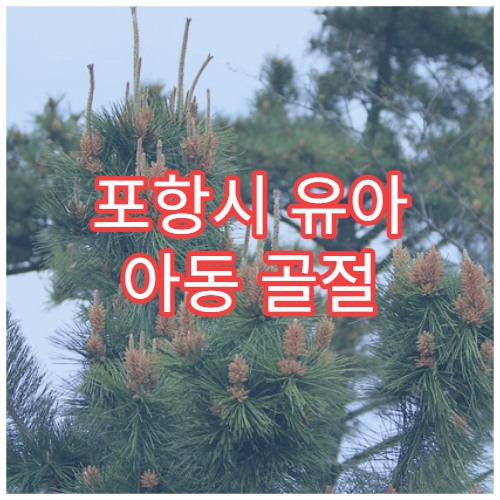 포항시 유아 아동 골절 치료 소아 정형외과 전문 진료 병원